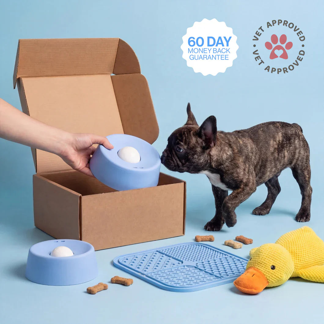 The Anxiety Bowl That Saves Your Home, Not Just Your Nerves
