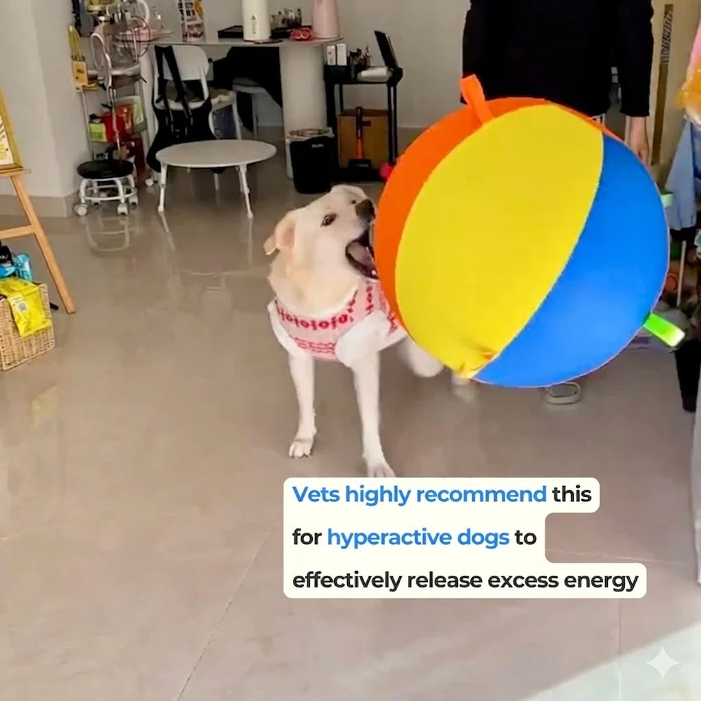 Calming Jumbo Ball