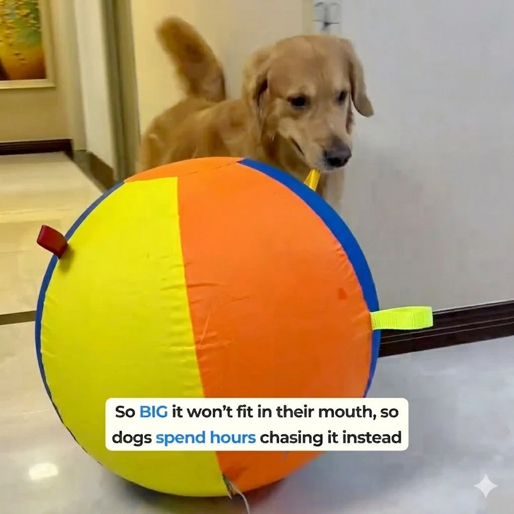 Calming Jumbo Ball