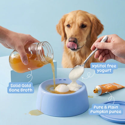 The Anxiety Bowl That Saves Your Home, Not Just Your Nerves