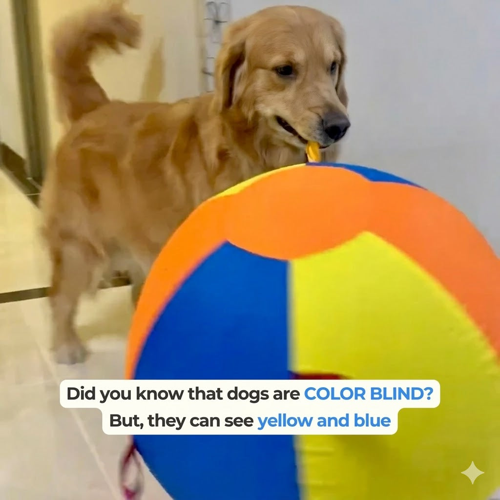 Calming Jumbo Ball