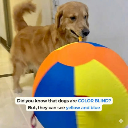 Calming Jumbo Ball