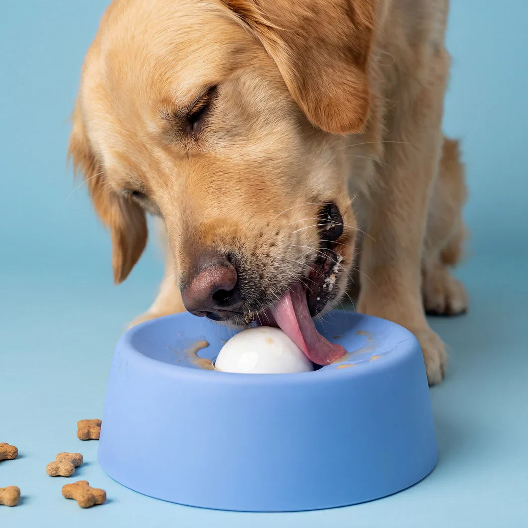 The Anxiety Bowl That Saves Your Home, Not Just Your Nerves