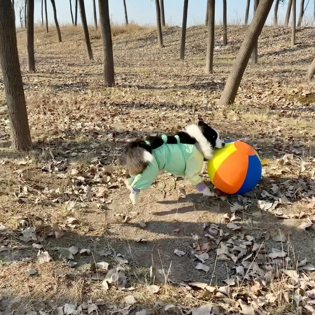 Calming Jumbo Ball