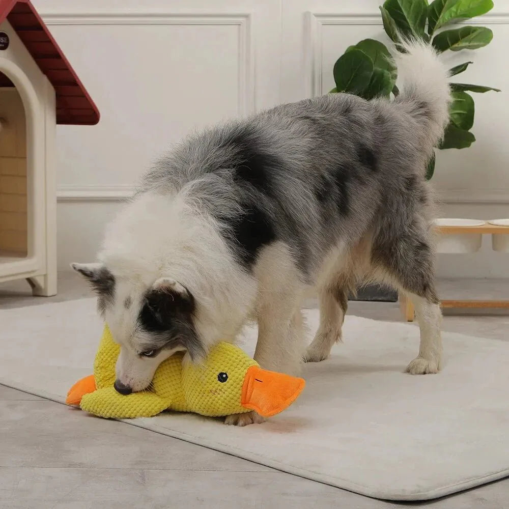 [BEST SELLER] Calming Duck Dog Toy
