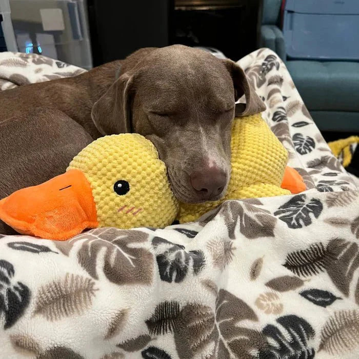[BEST SELLER] Calming Duck Dog Toy